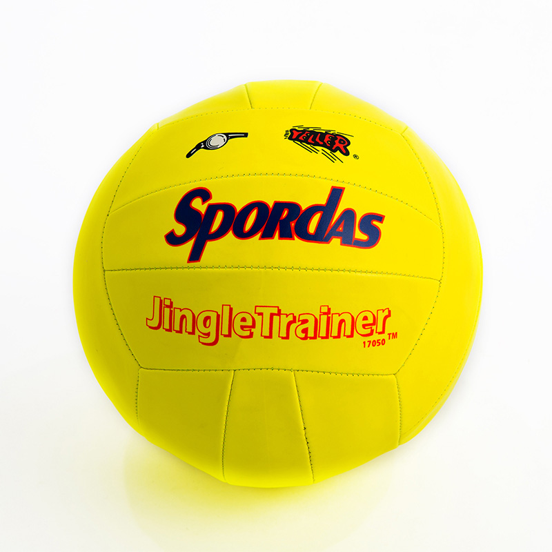 Audible trainer ball