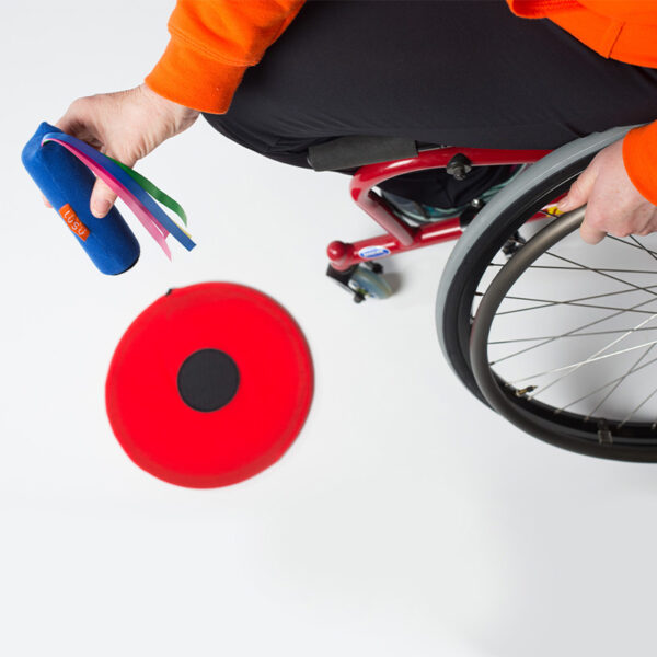 Target & Hoop - Image 2