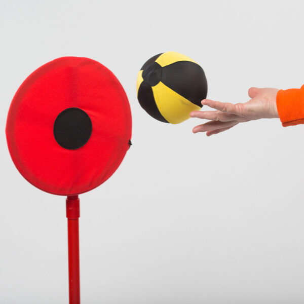 Target & Hoop - Image 5